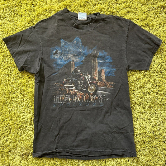 Vintage Harley Davidson  Lancaster PA T-Shirt