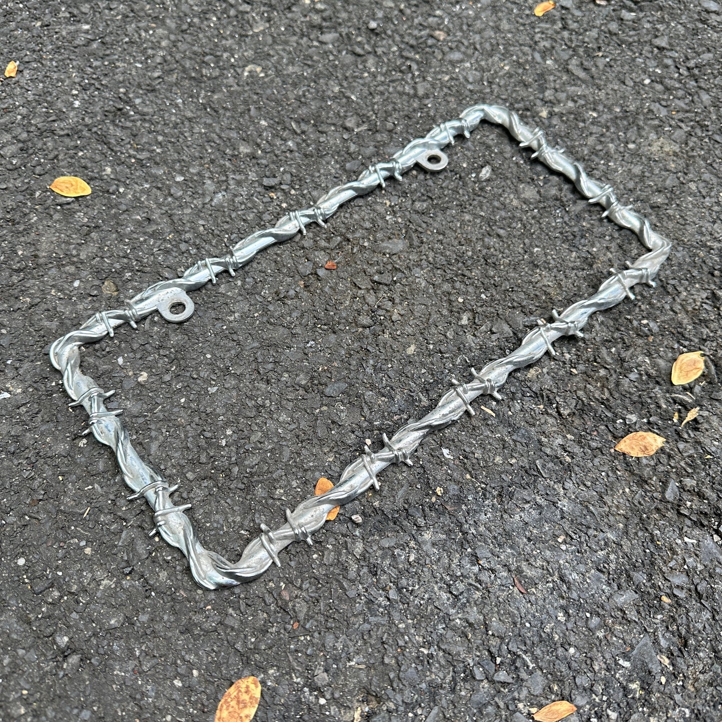 Vintage Metal Plate Frames