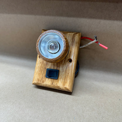 NOS Med. Oak Swivel Interior Light