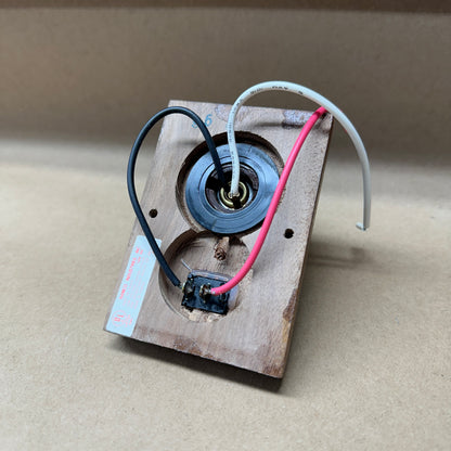 NOS Dark Oak Swivel Interior Light