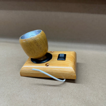 NOS Oak Swivel Interior Light