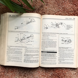 Chiltons Repair Manual - Blazer/Jimmy/Typhoon/Bravada 1983-1995